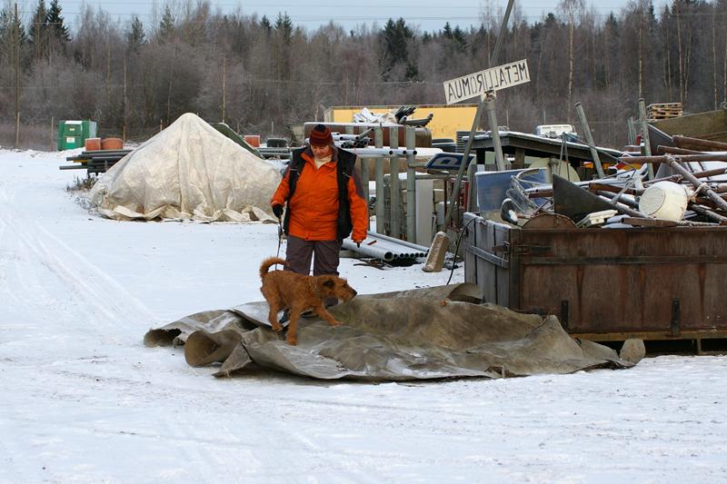 Soveltuvuustesti (9).jpg